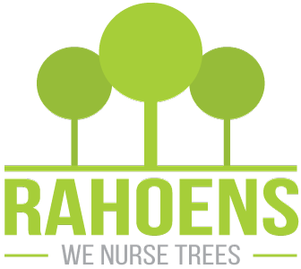 Rahoens - бельгійський розплідник дерев